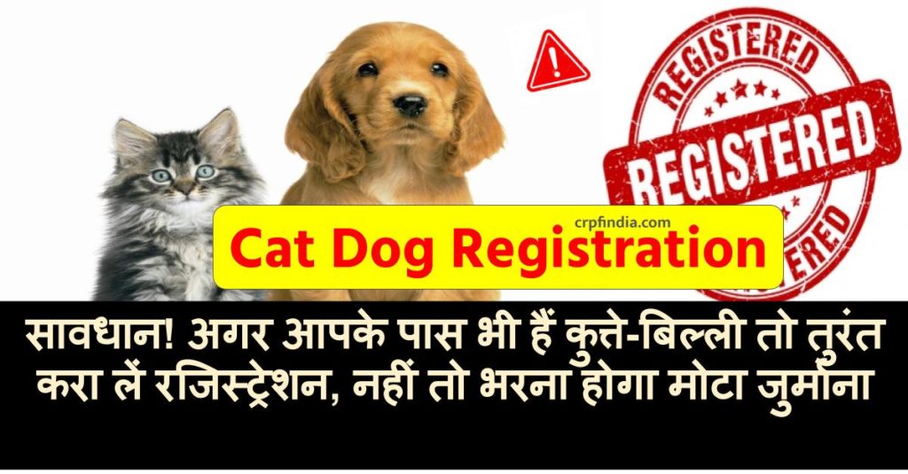 Cat Dog Registration