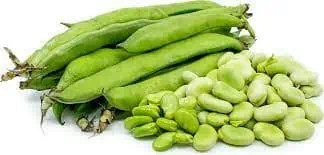 Fava Beans/Broad Bean