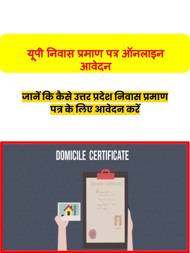 How To Apply Online For UP Domicile Certificate