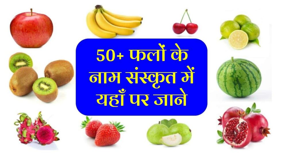 50+ फलों के नाम संस्कृत में | Fruits name in sanskrit: Hindi Gk