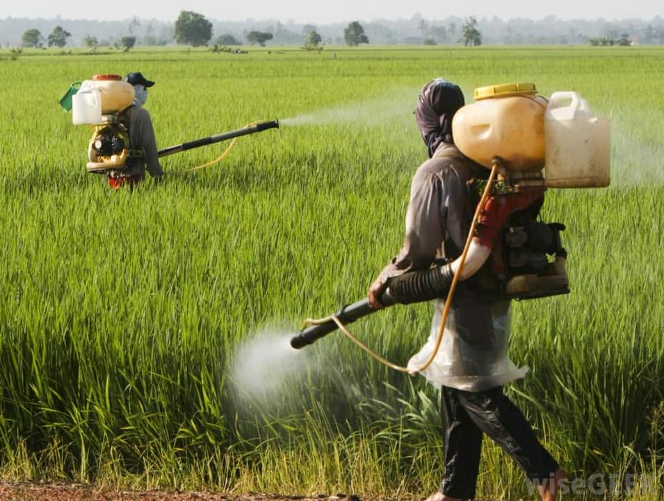 pesticide use in farming