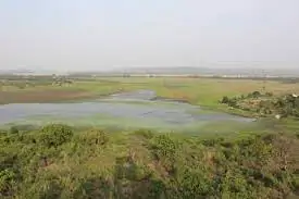 Ansupa Lake wetland area