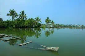 Ashtamudi Wetland (Kerala)