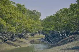 Bhitarkanika Mangroves (Odisha)