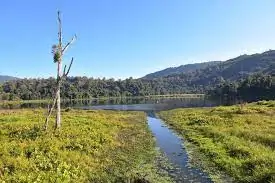 Pala Wetland (Mizoram)