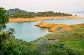 Pong Dam lake (Himachal Pradesh)