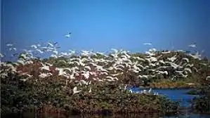 Samaspur Bird Sanctuary (Uttar Pradesh)