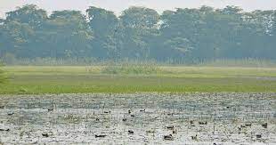 Sandi Bird Sanctuary (Uttar Pradesh)