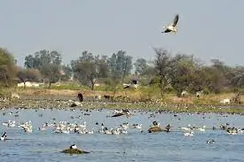 Sultanpur National Park (Haryana)