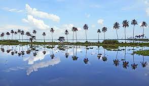 Vembanad Kol Wetland (Kerala)