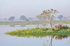 Yashwant Sagar wetland area