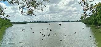 sirpur wetland area
