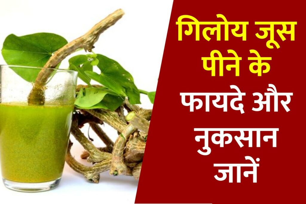 गिलोय जूस के उपयोग, फायदे और नुकसान | Uses, advantages and disadvantages of Giloy juice