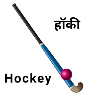 national sport of India