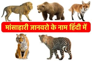 मांसाहारी जानवरों के नाम हिंदी और इंग्लिश में |