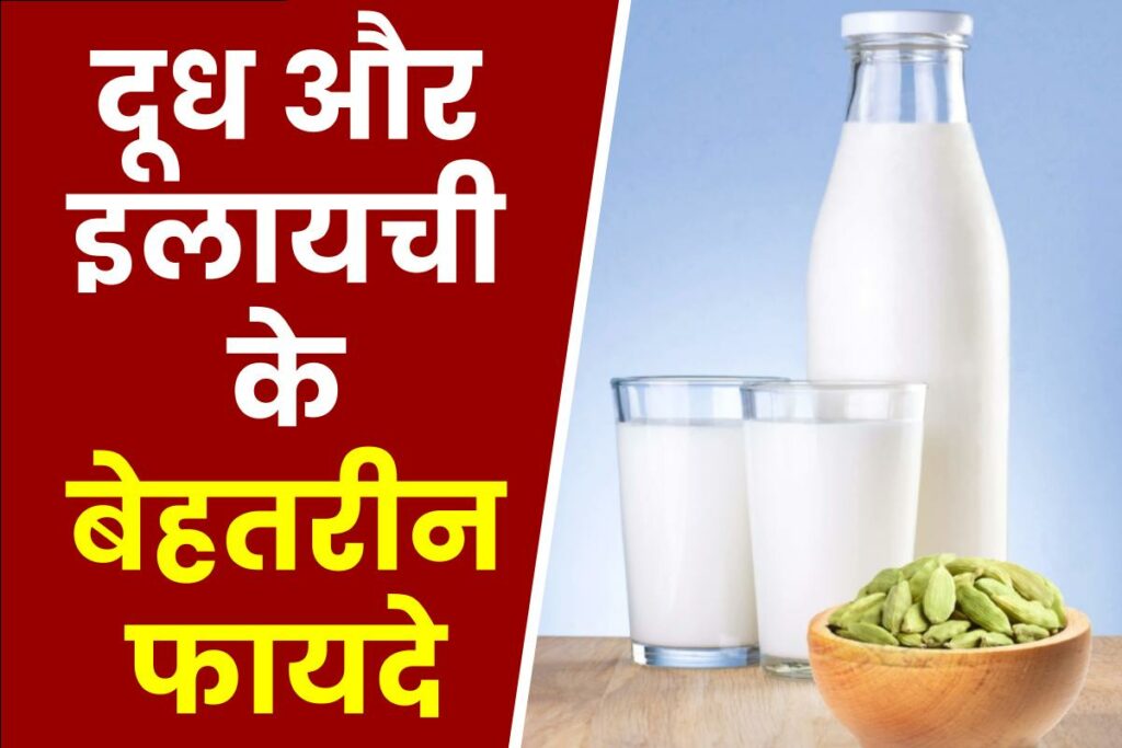 दूध और इलायची के फायदे- Dudh Aur Elaichi Ke Fayde