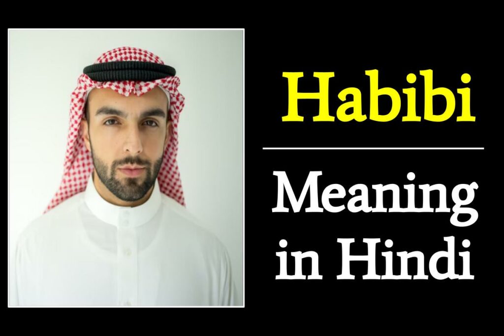 Habibi Meaning In Hindi – 