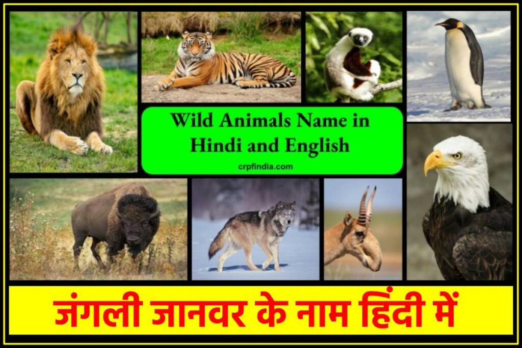 Wild Animals Name in Hindi and English | जंगली जानवर के नाम