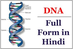 DNA का फुलफॉर्म हिंदी में - DNA Ka Full Form in Hindi