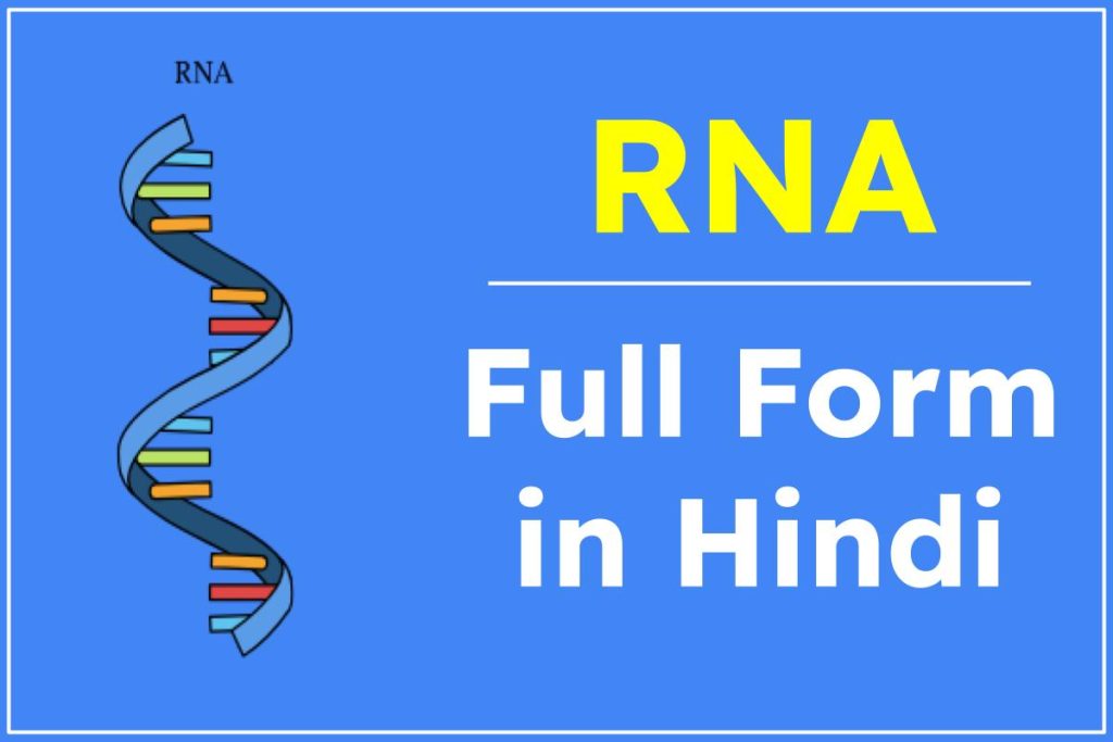 RNA Full Form in Hindi | 