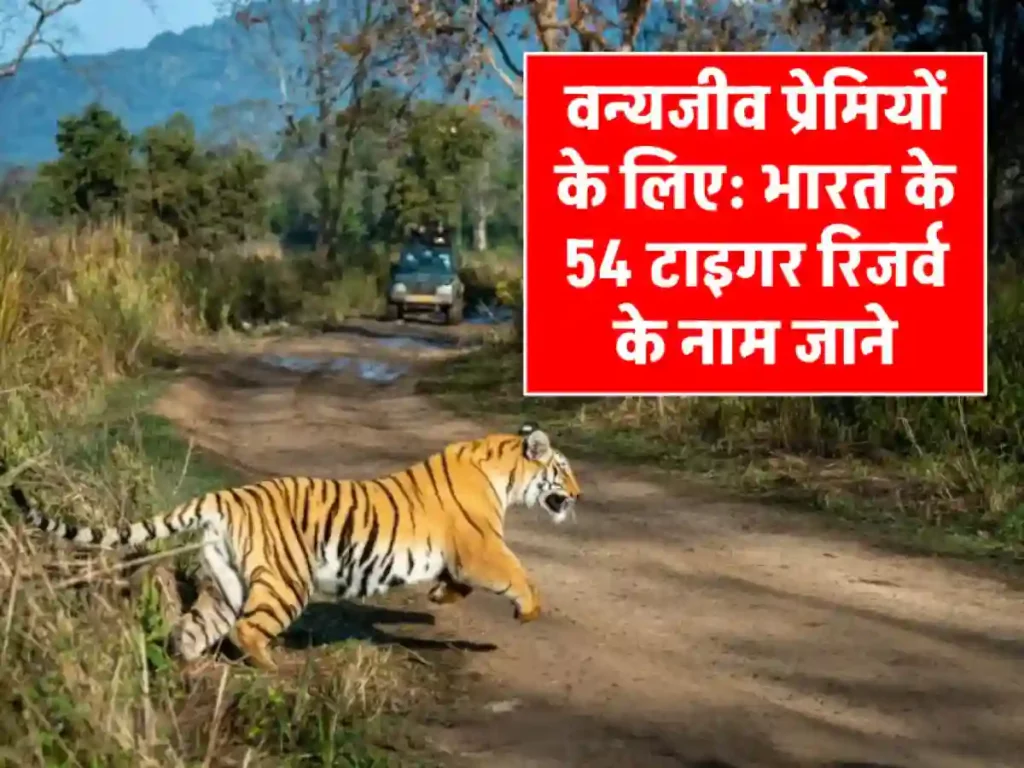 All Tiger Reserves in India
