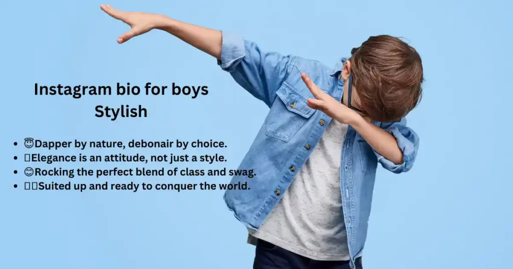 Instagram Bio for Boys Attitude 